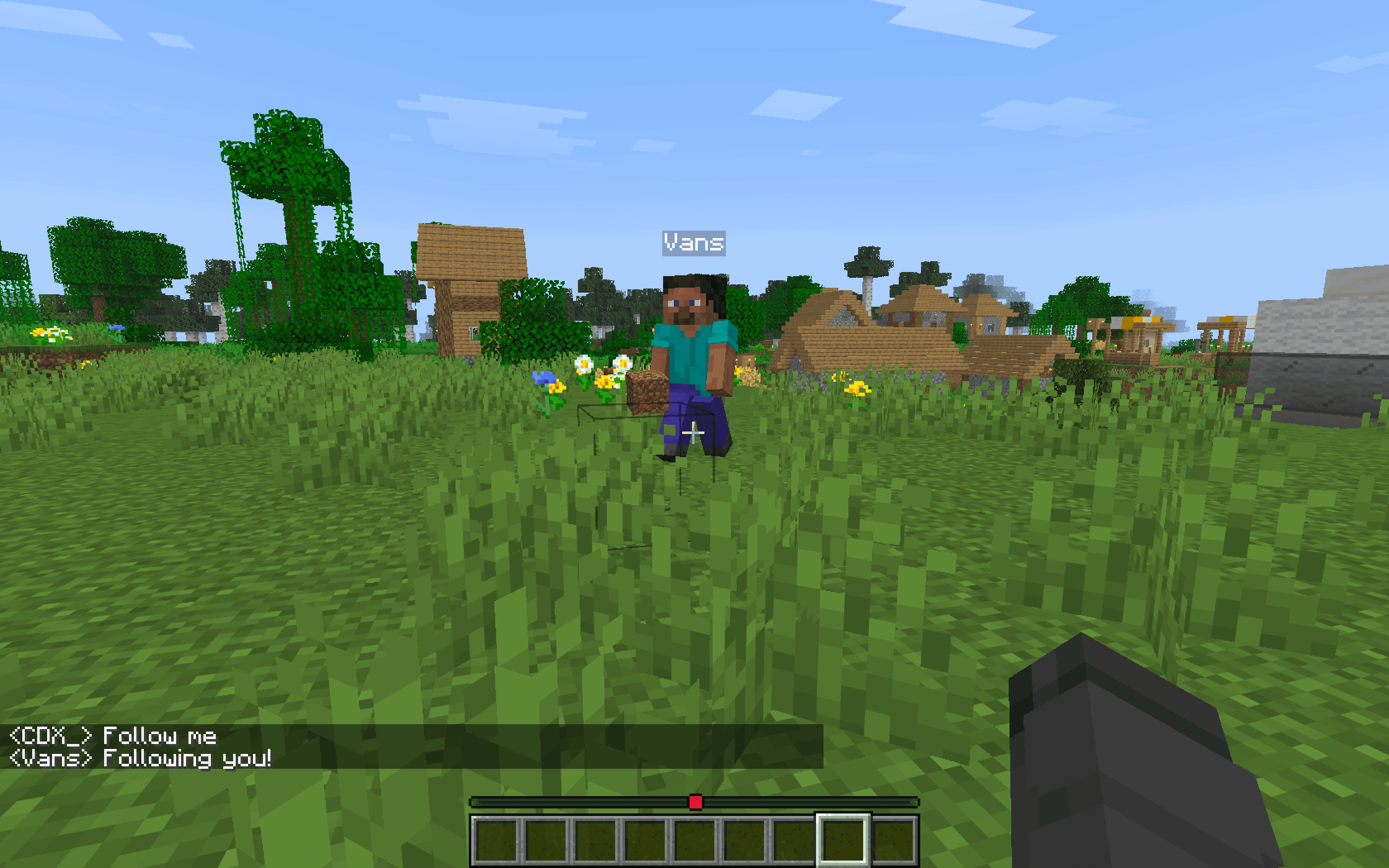Companion following the user